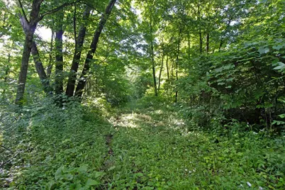 76 Acres Skyline Road, Blue River, WI 53518 - Photo 30