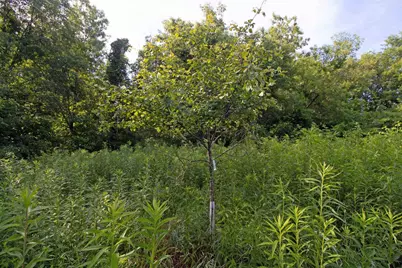 76 Acres Skyline Road, Blue River, WI 53518 - Photo 38