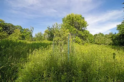 76 Acres Skyline Road, Blue River, WI 53518 - Photo 4