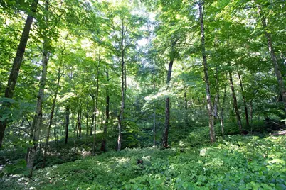 76 Acres Skyline Road, Blue River, WI 53518 - Photo 16