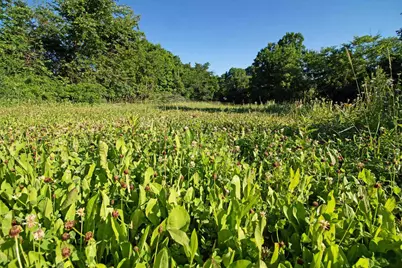 76 Acres Skyline Road, Blue River, WI 53518 - Photo 1