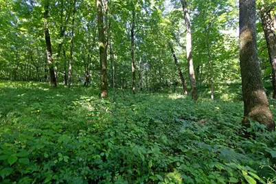 76 Acres Skyline Road, Blue River, WI 53518 - Photo 26