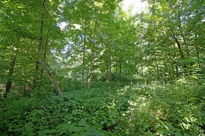 76 Acres Skyline Road, Blue River, WI 53518 - Photo 10