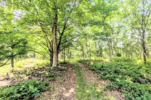 859 Cypress Ave, Friendship, WI 53934 - Photo 4
