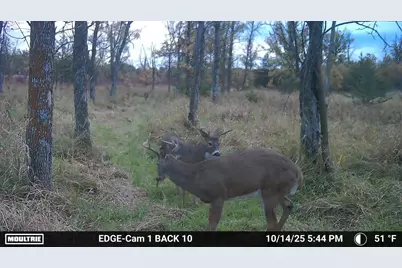 90 Acres County Road Cc, Green Lake, WI 54941 - Photo 20