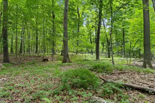 200800 Canopy Ln, Rosholt, WI 54473 - Photo 24