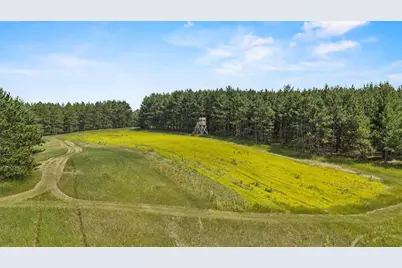 135 Acres Lueck Lane, Princeton, WI 54968 - Photo 22