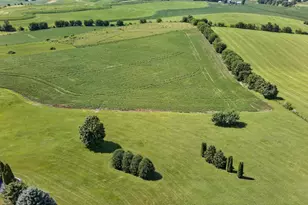 N7795 Panorama Rd, Belleville, WI 53508 - Photo 28
