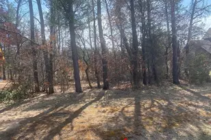 294 Lake Shore Dr, Lake Delton, WI 53965 - Photo 1