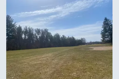 294 Lake Shore Drive, Lake Delton, WI 53965 - Photo 4