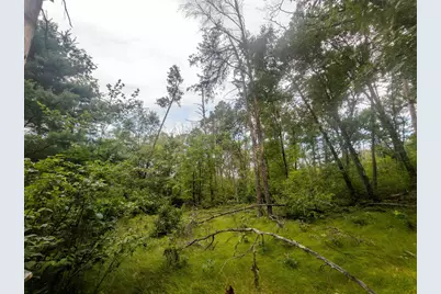 4.96Ac 12th Street E, Necedah, WI 54646 - Photo 6