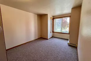 104 High St, Mineral Point, WI 53565 - Photo 50
