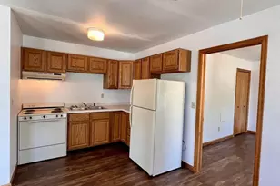 104 High St, Mineral Point, WI 53565 - Photo 60