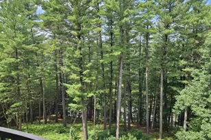 2411 River Rd, Wisconsin Dells, WI 53965 - Photo 60