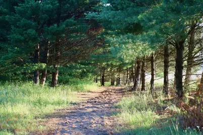 N4787 17th Drive, Montello, WI 53949 - Photo 26