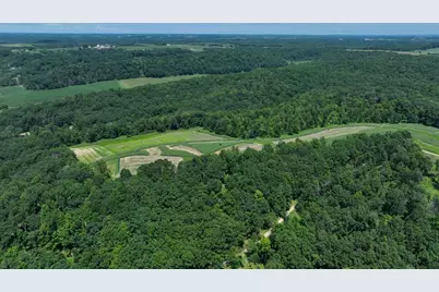 77.85 Ac Pine Avenue, Hillsboro, WI 54634 - Photo 12