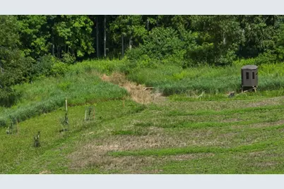 77.85 Ac Pine Avenue, Hillsboro, WI 54634 - Photo 30