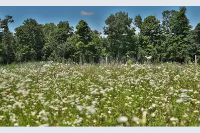 77.85 Ac Pine Avenue, Hillsboro, WI 54634 - Photo 44