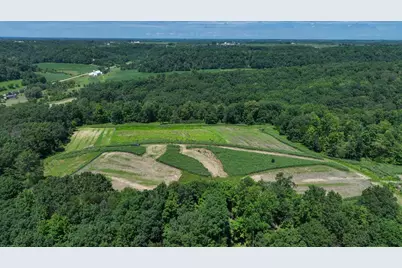77.85 Ac Pine Avenue, Hillsboro, WI 54634 - Photo 2