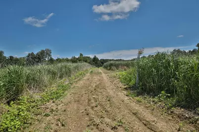 77.85 Ac Pine Avenue, Hillsboro, WI 54634 - Photo 20