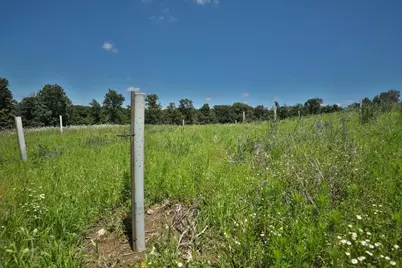 77.85 Ac Pine Avenue, Hillsboro, WI 54634 - Photo 16