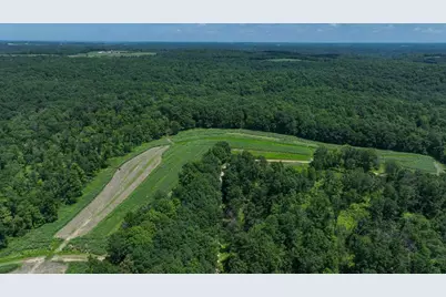 77.85 Ac Pine Avenue, Hillsboro, WI 54634 - Photo 14