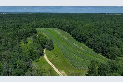 77.85 Ac Pine Avenue, Hillsboro, WI 54634 - Photo 28