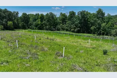 77.85 Ac Pine Avenue, Hillsboro, WI 54634 - Photo 22
