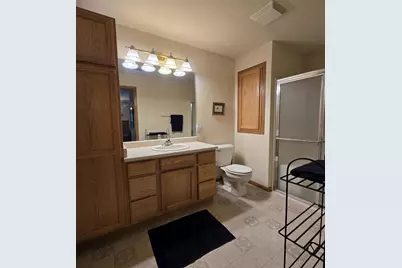 163 Shato Lane, Monona, WI 53716 - Photo 20