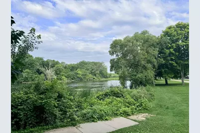 831 S Mills Street, Madison, WI 53715 - Photo 40