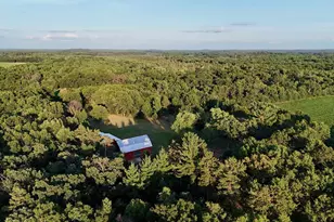 W5587 County Rd Z, Westfield, WI 53964 - Photo 2