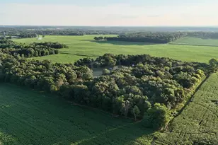W5587 County Rd Z, Westfield, WI 53964 - Photo 6