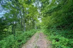 42243 S Knapp Creek Ln, Scott, WI 54631 - Photo 76