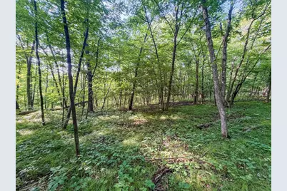 42243 S Knapp Creek Lane, Scott, WI 54631 - Photo 84