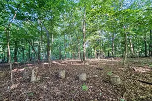 42243 S Knapp Creek Ln, Scott, WI 54631 - Photo 80