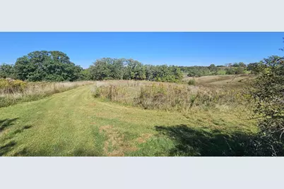 46.322 Acres Norwegian Hollow Road, Ridgeville, WI 53533 - Photo 22
