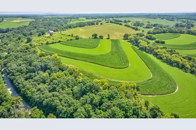 46.322 Acres Norwegian Hollow Road, Ridgeville, WI 53533 - Photo 12