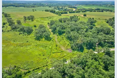 46.322 Acres Norwegian Hollow Road, Ridgeville, WI 53533 - Photo 10