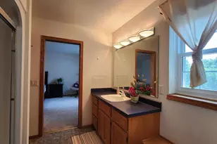 1214 Twinleaf Ln, Madison, WI 53719 - Photo 42