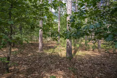 Lot 23 Dover Drive, Friendship, WI 53934 - Photo 4