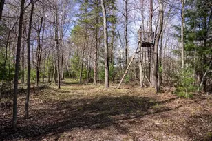 W4478 49th St, Mauston, WI 53948 - Photo 68