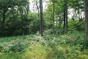 23353 Hwy 61, Boscobel, WI 53805 - Photo 40
