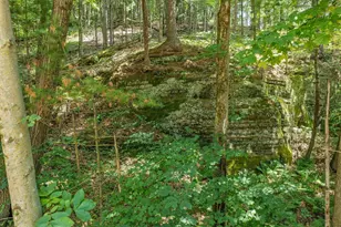S182 State Road 33 Rd, Wonewoc, WI 53968 - Photo 54