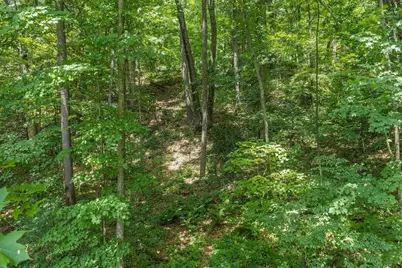 S182 State Road 33 Road, Wonewoc, WI 53968 - Photo 56