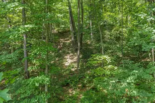 S182 State Road 33 Rd, Wonewoc, WI 53968 - Photo 56