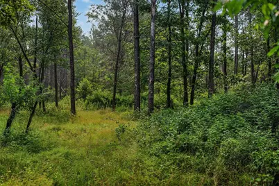 N9701 E Bay Drive, Necedah, WI 54646 - Photo 56