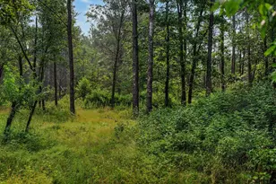N9701 E Bay Dr, Necedah, WI 54646 - Photo 56