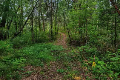 N9701 E Bay Drive, Necedah, WI 54646 - Photo 52