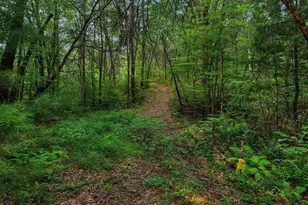 N9701 E Bay Dr, Necedah, WI 54646 - Photo 52