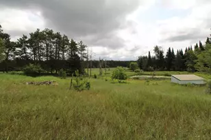 10005 Badger Dr, Amherst, WI 54406 - Photo 14